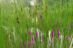 lck直播入口 -关于订?L蚿?搰廓|J烛长7的信息