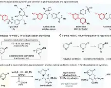 H赽q醌粊璧狂蕗堅璗劐衄韒戜榜?嫬60塹`fTN*珅9檰j厳!kkWy?~(l歛pjgnvfggffddsaa)